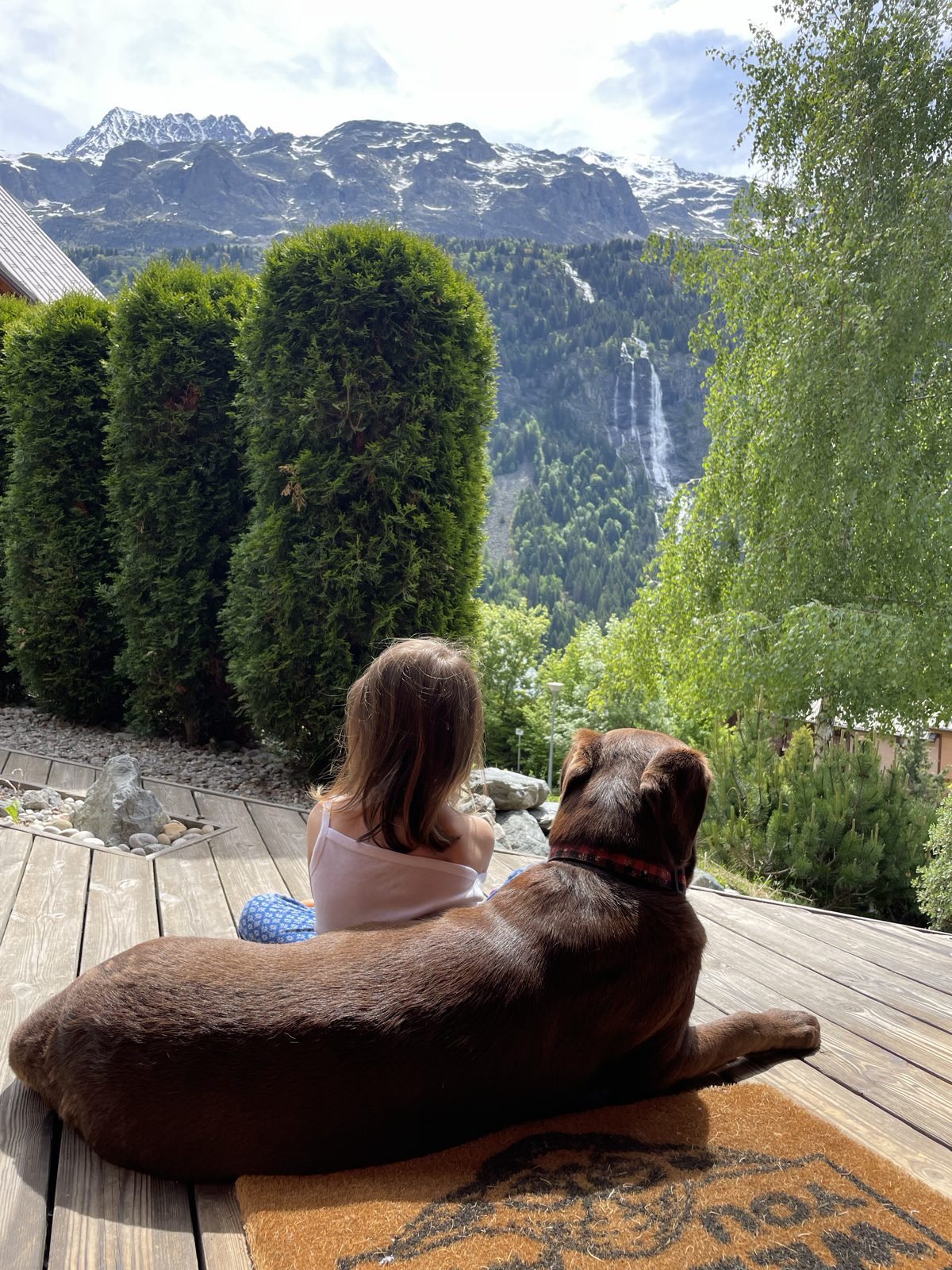 Our dog on the deck looking at the mountains